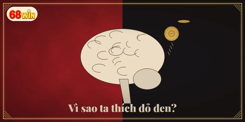 Hình não bộ và đồng xu đang tung trên nền đỏ đen